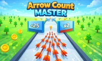 Arrow Count Master